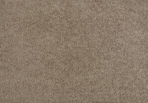 Genius color 270 Almond